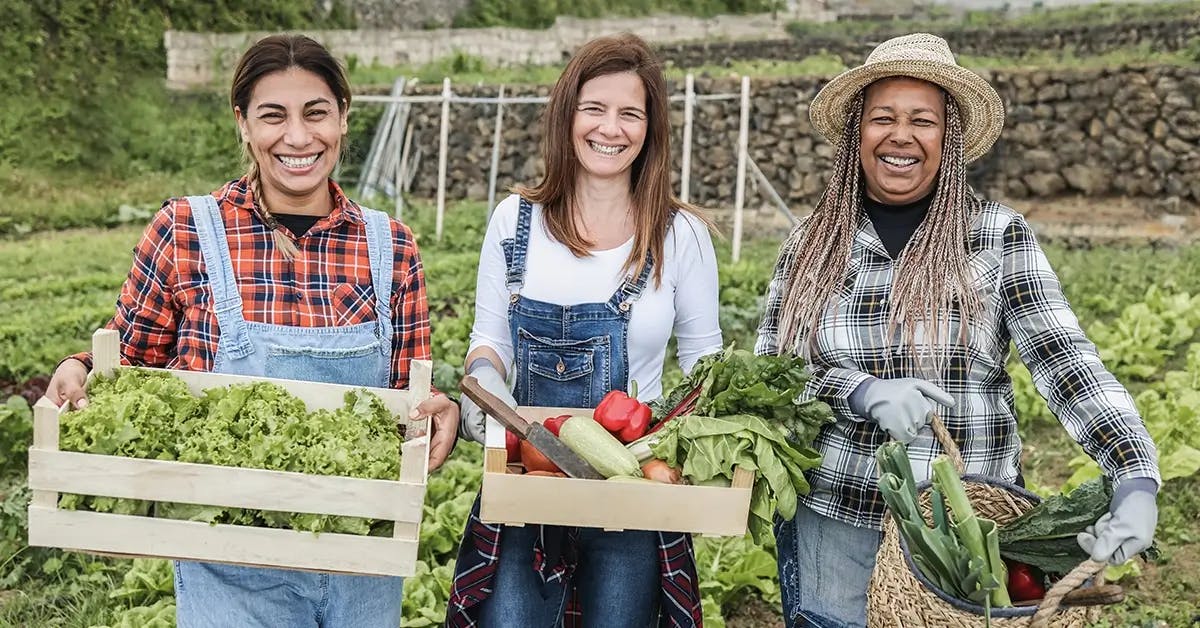 Three women on farm holding boxes of vegetables.